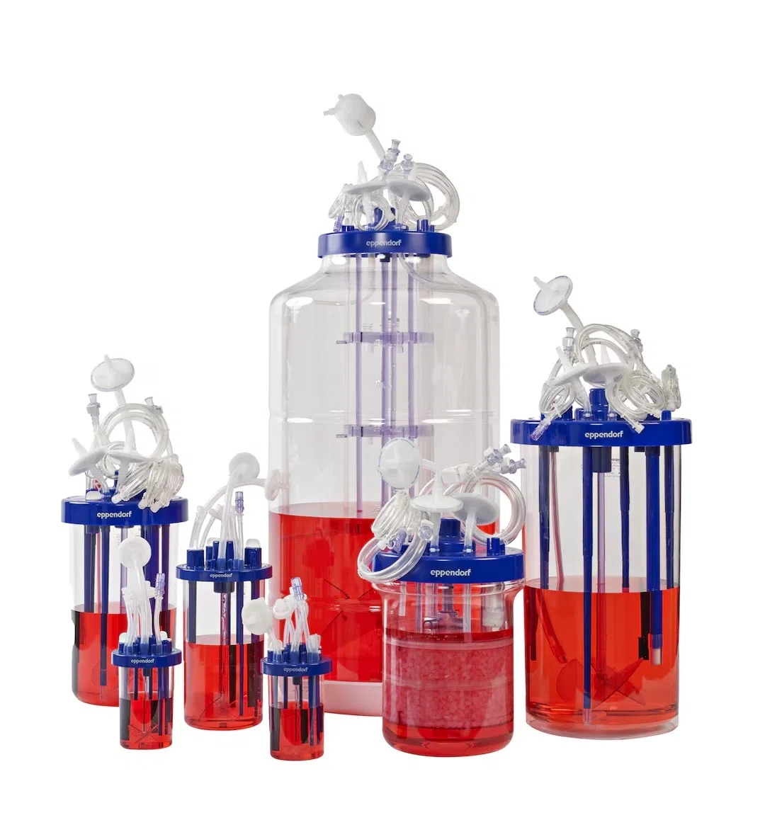 Bioreaktori un fermentatori
