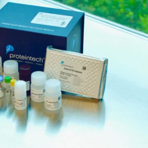 Enzīmu imūnanalīzes: ELISA, IHC testi, magnētiskās šūnu atdalīšanas sistēmas