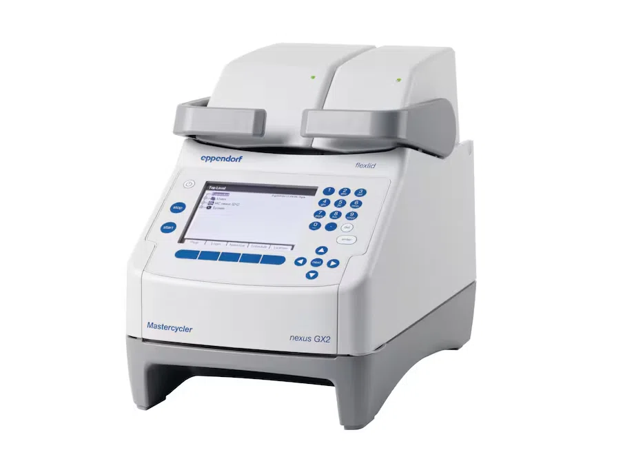 PCR