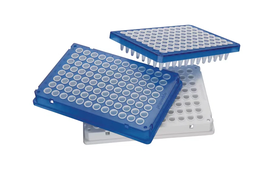 PCR