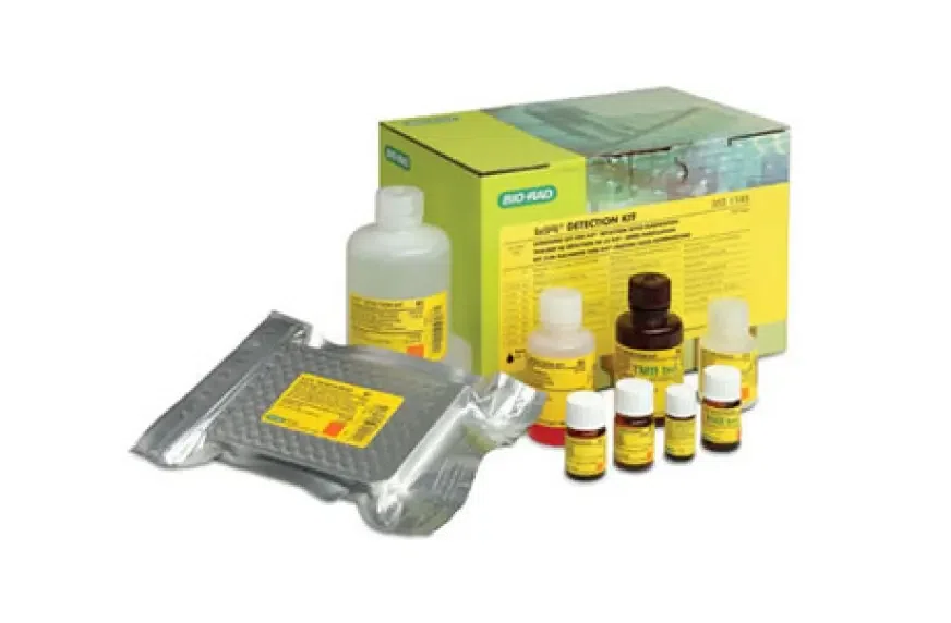 Veterinārā diagnostika