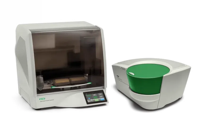 digital PCR