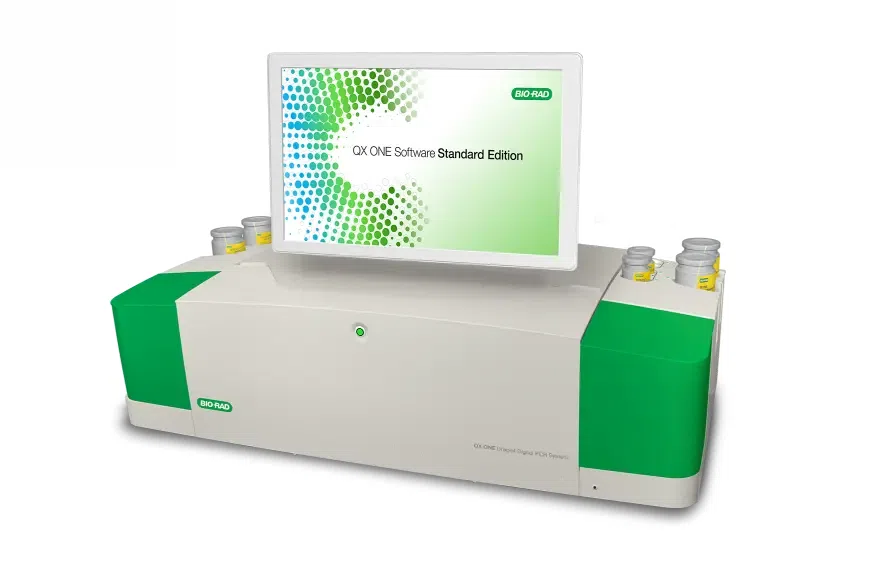 digital PCR