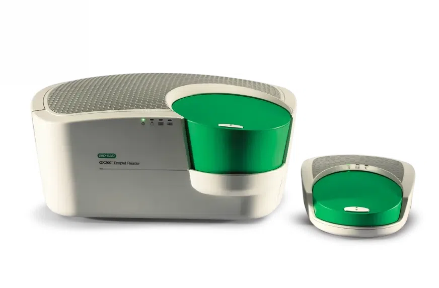 digital PCR