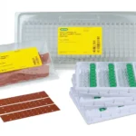 digital PCR