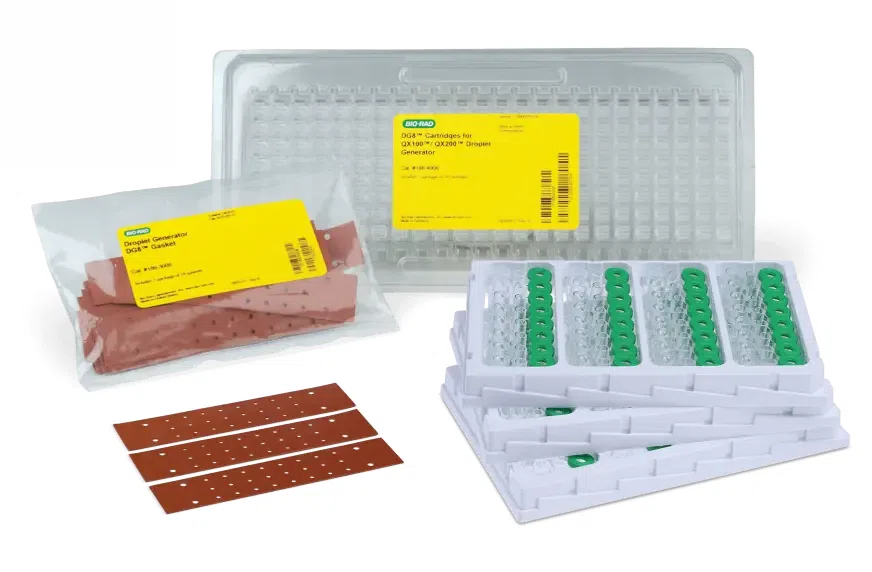 digital PCR