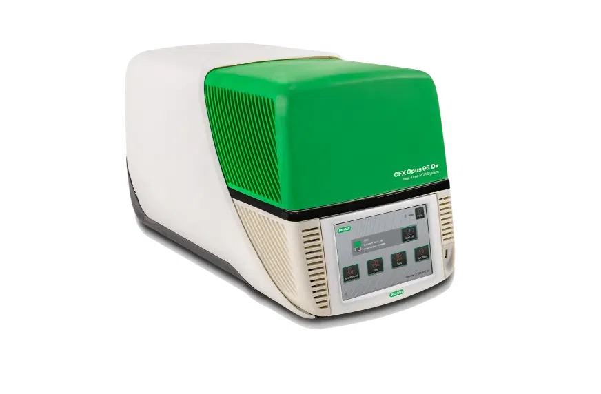 qPCR